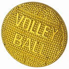 Volleyball Sports Chenille Pins Gold Varsity Letter Jacket Team Coach Lapel