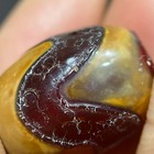 Himalayan Old Agate Tiger Teeth Tibetan Dzi Beads Amulet Pendant 21  16mm  4501
