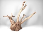 22  Manzanita Aquarium Driftwood  Natural Aquascaping Decor