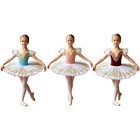 Kids Girls Dancewear Applique Costume School Ballet Practice Tutu Dress Party