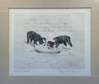 Marguerite Kirmse Pencil Signed Etching Of Boston Terrier Dogs  a Social Error 