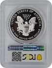 1993-p American Proof Silver Eagle One Dollar Coin Pcgs Pr70 Dcam