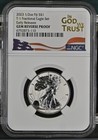 2023 Fiji Fractional Eagle Set Early Releases Ngc gem Reverse Proof 70