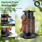 Squirrel Proof Bird Feeder Metal Hanging Outdoor