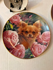 Collection Of Ten Chihuahua Collectable Plates See List Guilded 8  Vintage Lot