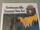 Vintage Original 1955 Smokey Bear Carelessness Ca State Fire Prevention Poster