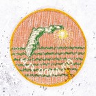 Vintage Orlando Patch     Florida Sun Travel Souvenir     Sew-on Badge Nos