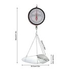 22lbs Double-sided Dial Mechanical Hanging Scale With Scoop chain For Kitchen