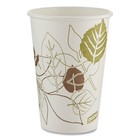 Dixie Pathways Paper Hot Cups  16 Oz  White brown  50 pack