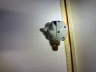 Antique Porcelain Woman   s Head Copper And Cork Bottle Stopper Hand Painted