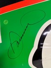 Danica Patrick Signed Race Used Nascar Godaddy Panel  3723 Martinsville Rare 