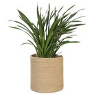 Woven Plant Basket  Wicker Basket Planter For 10 Inch Pot  Round 11  X 11  Jute
