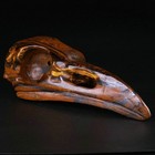 5 0    Tiger Iron Eye Carved Crystal Raven Skull  Realistic  Crystal Healing