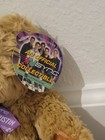 Vintage 2000 Zeeks Official Nsync Justin Timberlake Collectible Bear