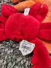 Rare Ty Beanie Buddy   Beanie Baby And Buddie Digger The Crab Lot - 