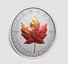 2026  20 Canada Silver Rev Proof Maple Leaf Uhr Vivid Ngc Pf70 First Releases