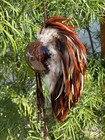 Premium Medium Kamani Ikaika Brown Hawaiian Warrior Helmet Home Decor Hanging