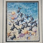 Baby Sea Turtles Ocean Wall Art Framed Print Under Glass Sand Beach Sea Shells 
