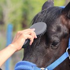Horse Mane And Tail Brush Professional Non-slip Humanized Handle Horsetail Comb 