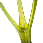 Vintage Viking Green Glass Swung Vase  27    Tall Rare 3 Finger 3 Point Triangle