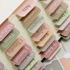 Laminated Bible Tabs 75 Tabs laminated Bible Index Tabs For Women And Men 
