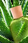 The Only After Microdermabrasion Moisturizer 100  Pure Organic Aloe Vera Gel 4oz