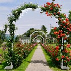 Large Metal Arch Wedding Garden Trellis Climbing Plants Bridal Party Decor Arbor