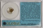 49-er California Gold Pinch S s  Central America Shipwreck Recovered Gcs