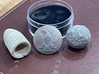Civil War Relics Bullets And Button Starter Kit - Richmond  Va