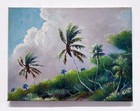 Florida Highwaymen Painting  Howard Newton Painting