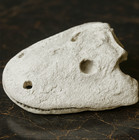 Eryops Megacephalus Permian Skull Replica - Elite Paleo Artifact For Collectors