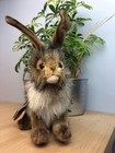 Hansa Plush Rabbit  Blacktail Medium  3754  Portraits Of Nature