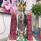 45cm Premier League Trophy Replica Resin Trophy