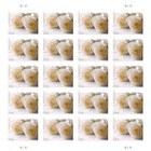 100 Forever Stamps 5 Sheets White Rose Wedding Shower 