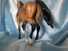 Breyer Model Horse Traditional 2007 Limited Edition Akhal-teke