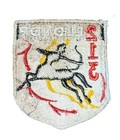 Vietnam War Theater Made Patch Arvn 213 Lldndp Duot Song Ngan Thu Original
