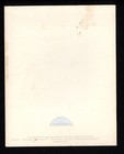 Klm Royal Dutch Airlines Worldmart  85   Folder   Polaroid Photo Lady In Plane