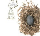 Super Impulse A Phenomenon Original Pet Rock