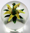 Large Steven Lundberg Beautiful Yellow Tiger Lily Art Glass Pedestal Paperweight