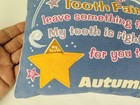 Vintage Tooth Fairy Pillow Personalized Autumn Stars Celestial Blue 1990   s