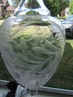 Antique Apothecary Pharmacy Etched Glass Show Globe Bottle W  Damage