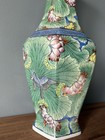 Vintage Green Lotus Chinoiserie Porcelain Rose Famille Vase 