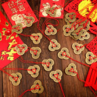 New 10 Sets Chinese Feng Shui Coins 5 Emperor Styles Lucky Charm Red String