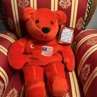 Wayne Gretzky  99 Salvinos Bammers 1999 Red Bear American Flag Used With Tags 