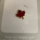 Air Canada Maple Leaf Pin   233