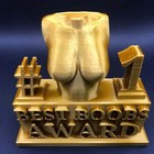 Best Ass Award best Boobs Award Statue 4 8 10 butt Resin Funny Trophy Award Gift