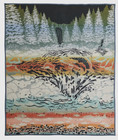 Pendleton beaver State blanket salmon Falls wool Blend made Usa  64x80 nwt 