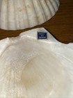Set 4 Large Baking Scallop Seafood Appetizers Cooking Baking Shells - Crafts