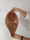 Big Largest Indian Catappa Ketapang Almond Leaves Tannins For Bettas  Aquarium
