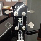 Epiphone Eb-3 Electric Bass Guitar-05